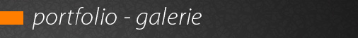 portfolio - galerie